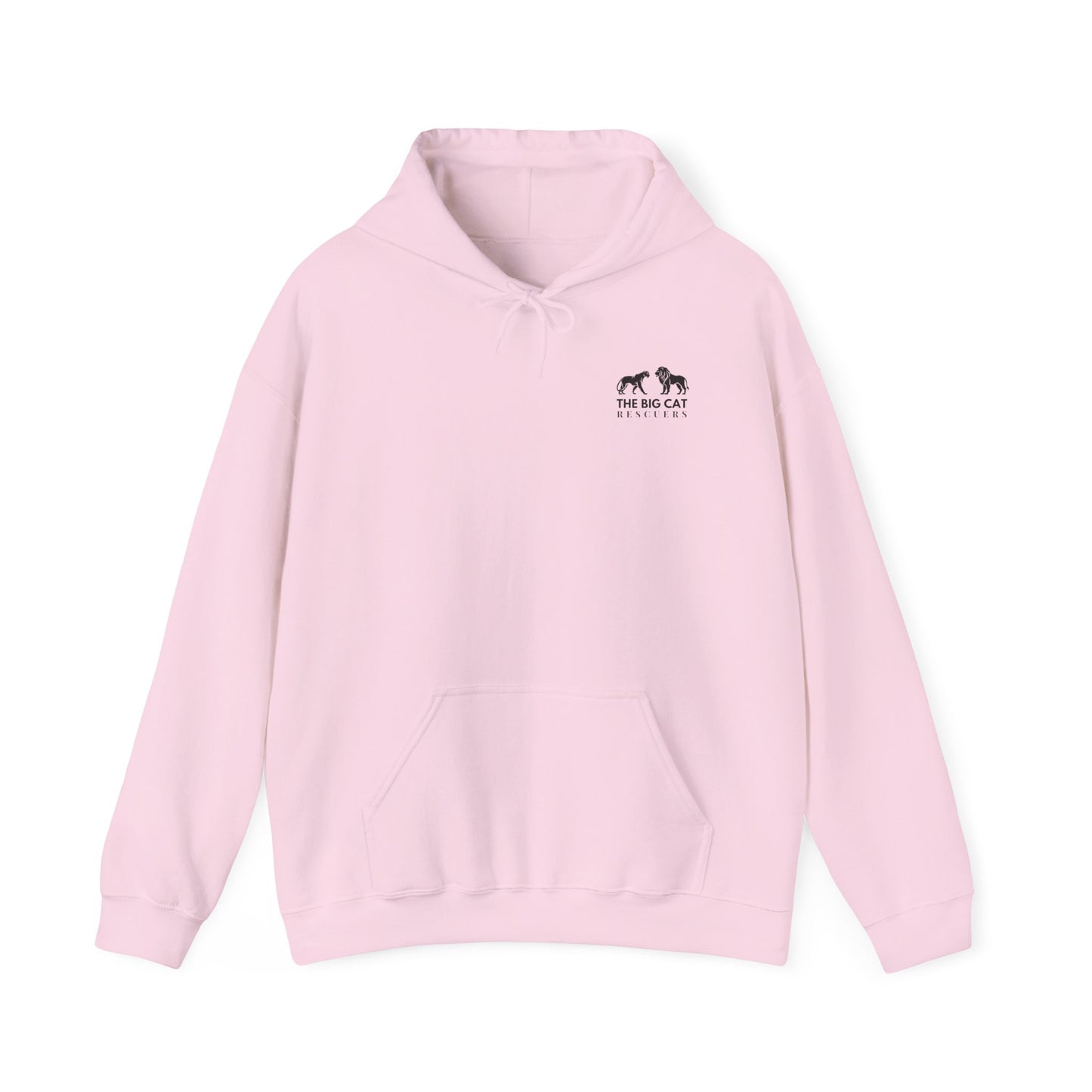 Save The Spirit Hoodie